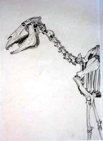 2006