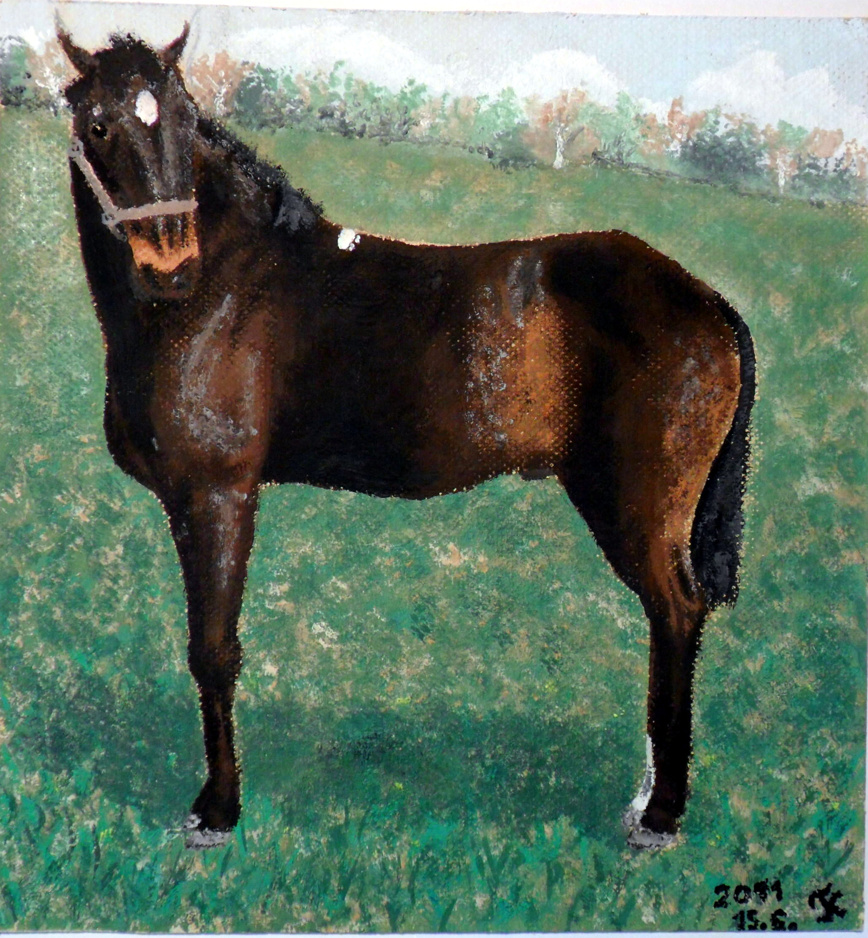 2011