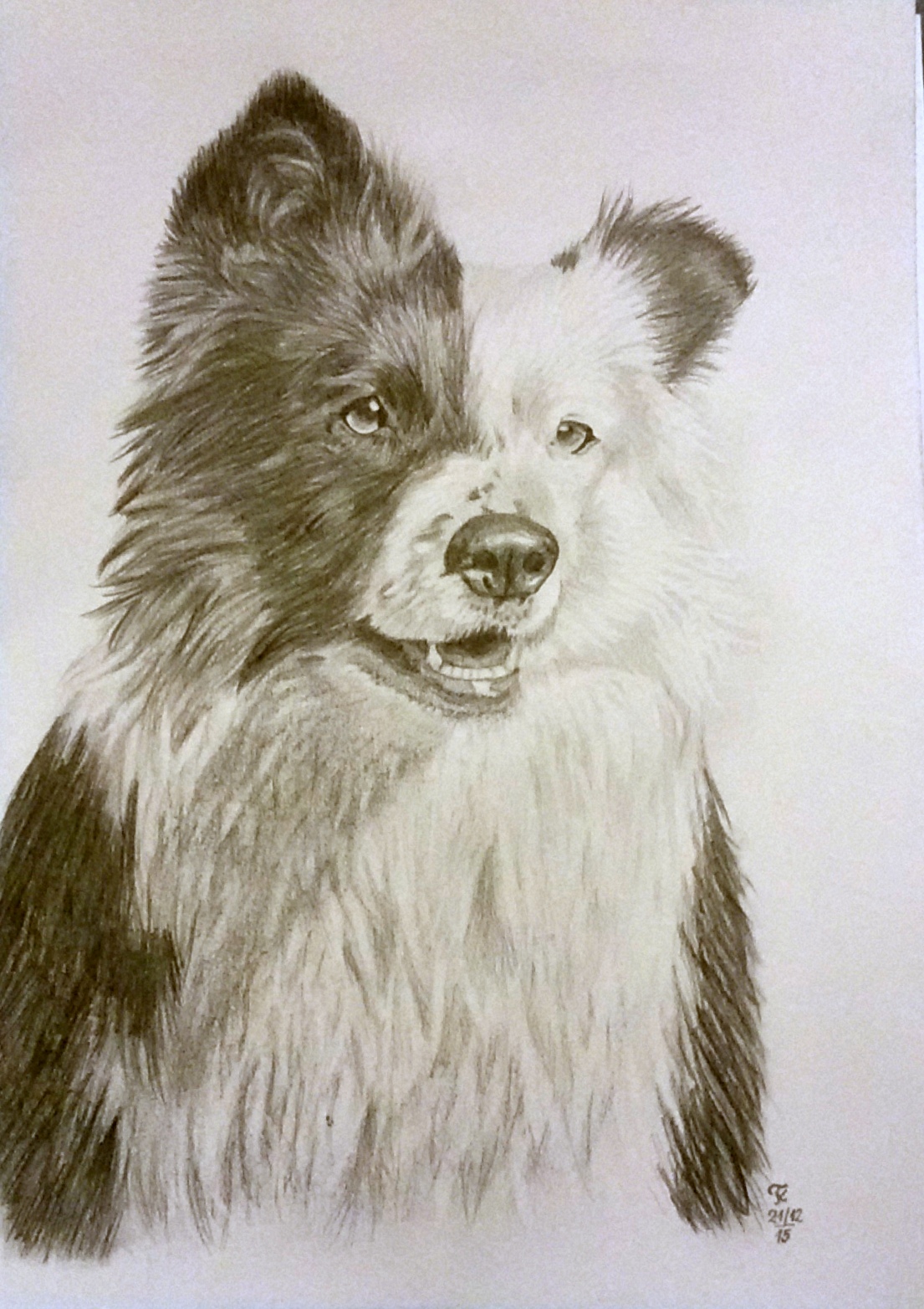 2015